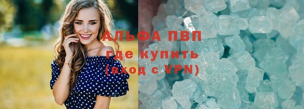 соль ск Дмитриев