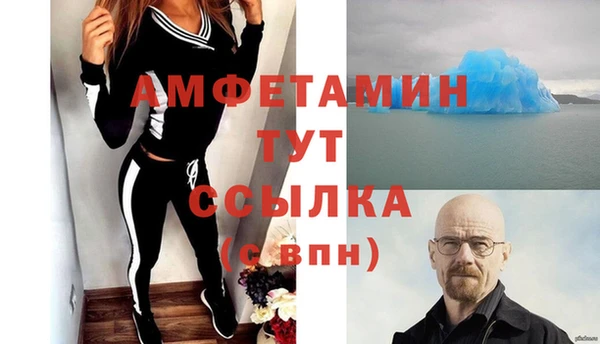 соль ск Дмитриев