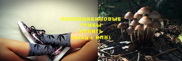 ECSTASY Горнозаводск