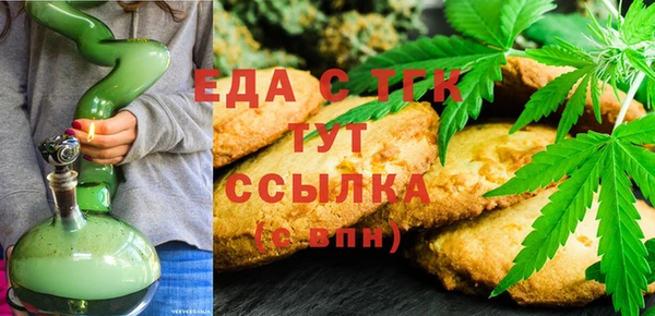 соль ск Дмитриев