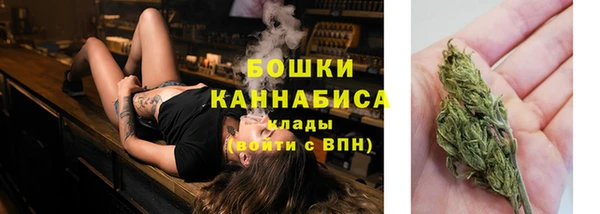 гашик Дмитровск