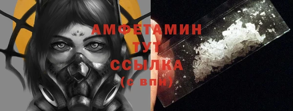 соль ск Дмитриев
