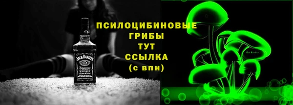 соль ск Дмитриев
