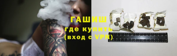 гашик Дмитровск