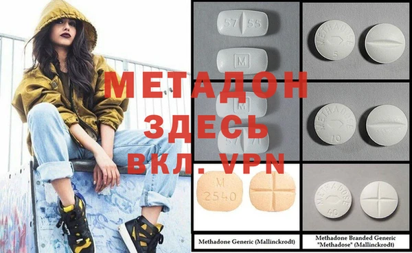 индика Елизово
