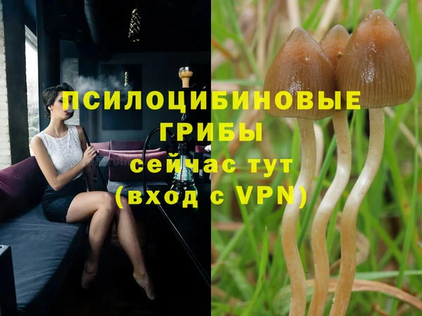 ECSTASY Вязники