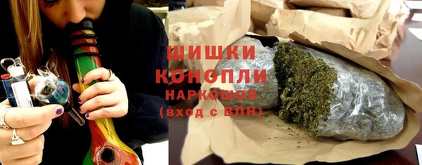 соль ск Дмитриев