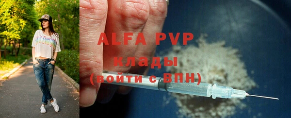 гашик Дмитровск