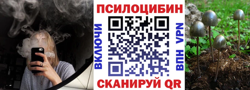 Галлюциногенные грибы мицелий  Купить где  Моршанск 